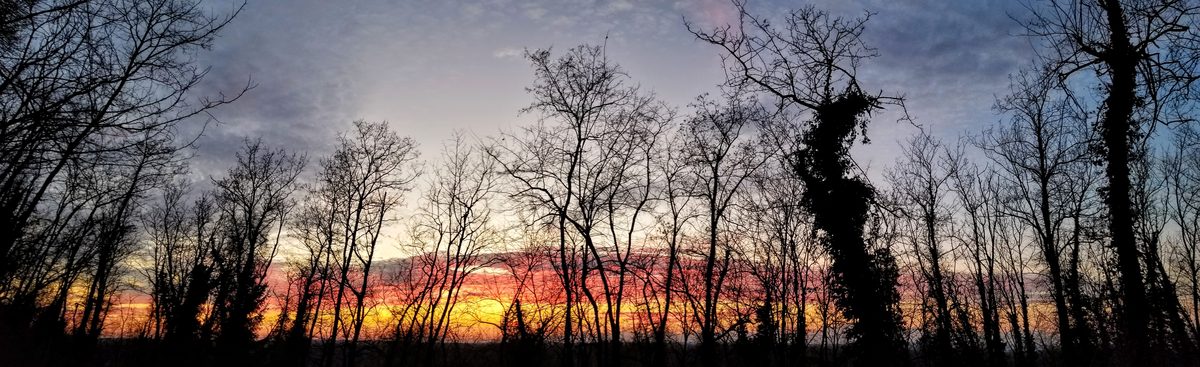 Fotografia del cielo di Roberto Spateri &mdash; Lonate Pozzolo (Varese), 24 febbraio 2019.