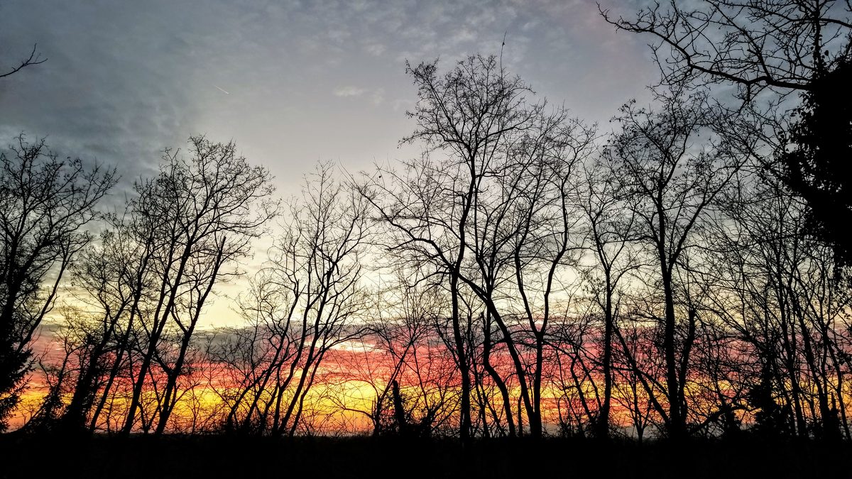 Fotografia del cielo di Roberto Spateri &mdash; Lonate Pozzolo (Varese), 24 febbraio 2019.