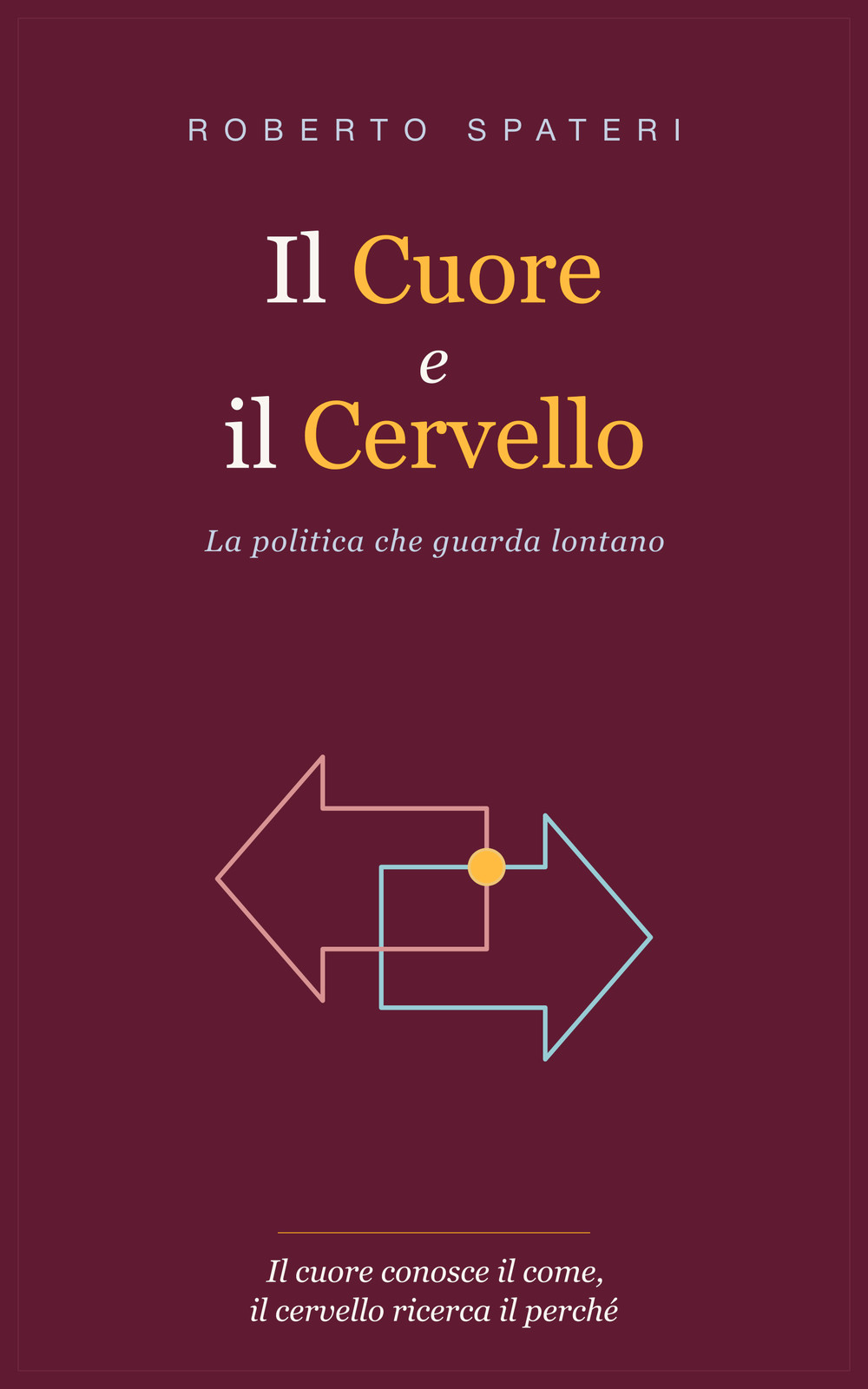 Copertina del libro Il Cuore e il Cervello di Roberto Spateri.